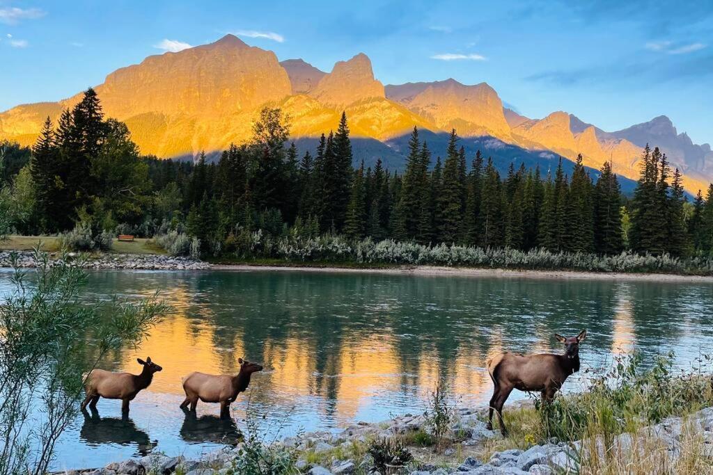Unit #301 Mountain View 1Br In Canmore Down Town 외부 사진